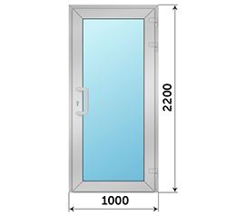 Одностворчатая дверь остекленная NEWTEC 1000x2200